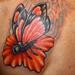 tattoo galleries/ - Butterfly Tattoo - 59237