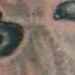 tattoos/ - boxer - 66169