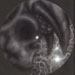 Art Galleries - skull moon - 24163