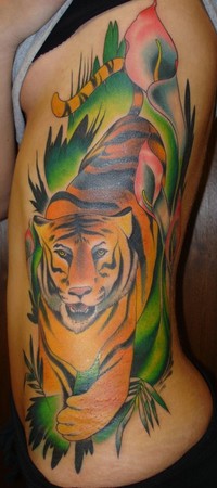tiger on ribs