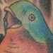 tattoo galleries/ - untitled