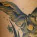 Tattoos - nike - 33106