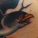 Tattoos - Screaming bird - 53194