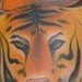 Tattoos - tiger and Calla lillies - 48721