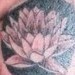 tattoos/ - Black and gray skull - 49555
