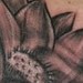 Tattoos - Black and grey flower - 51300