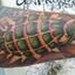 tattoos/ - Grenade Tattoo - 35958