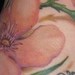 tattoo galleries/ - flowers - 34235