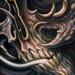 Bio Skully Art Thumbnail