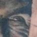 Tattoos - DRACULA - 75089