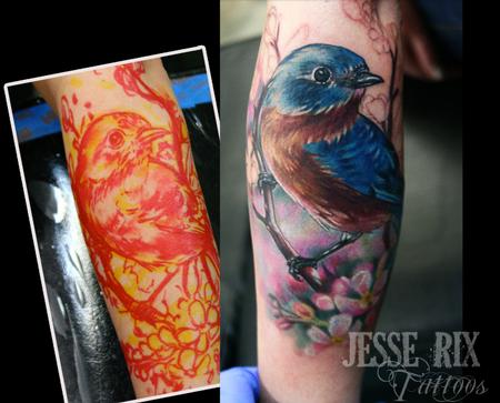 Jesse Rix - Bluebird and apple blossoms.