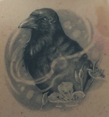 Tattoos - Jesse Rix - Healed crow