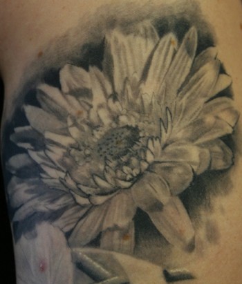 Secret Lake Tattoos Tattoos Custom gerber daisy