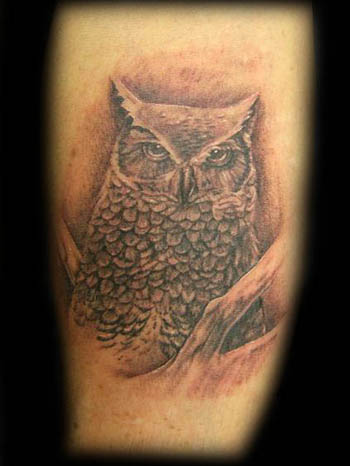 Tattoos Tattoos Nature Animal Bird Owl Tattoo Now viewing image 29 of 35