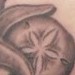 Tattoos -  - 40475