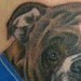 Tattoos -  - 40474