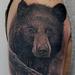 Tattoos - Black Bear Tattoo - 76204