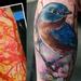 Bluebird and apple blossoms.  Tattoo Thumbnail