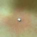 Tattoos - Chest Dermal - 61330
