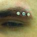 Tattoos - Eyebrow Dermals - 61332