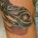 Tattoos -  - 42799