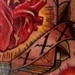 Tattoos - straight edge book - 34747