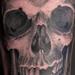 Tattoos - skull and roses - 58618