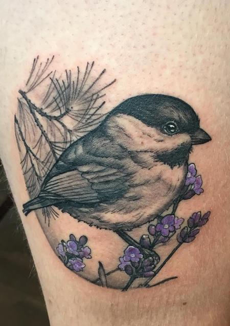 Shawn Hebrank - Chickadee