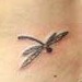 tattoo galleries/ - Dragonfly/flower tattoo - 49840