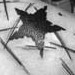 tattoo galleries/ - Stars tattoo - 49841