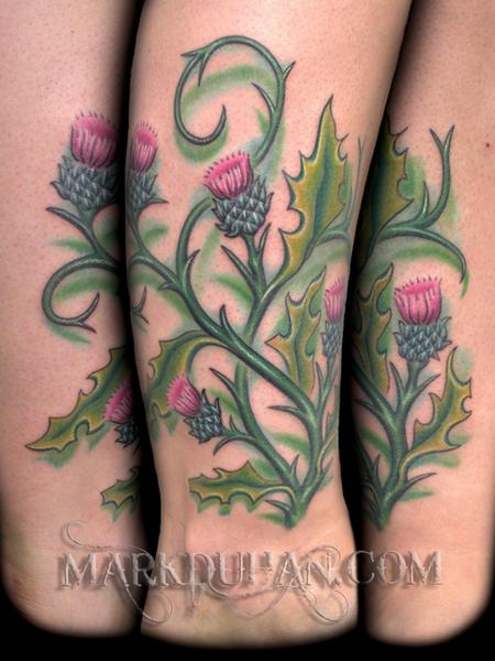 thistle by mark duhan tattoonow thistle by mark duhan tattoonow