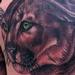 tattoo galleries/ - COUGAR
