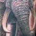 tattoo galleries/ - ELEPHANT - 62554