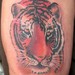 tattoo galleries/ - TIGER - 53174