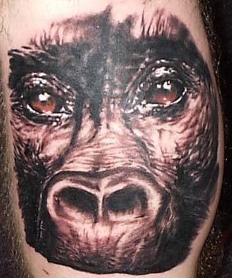 Tattoos Tattoos Nature Animal Wildlife Monkey face on self