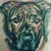 Tattoos - Dog Portrait - 17776
