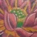 tattoo galleries/ - Lotus/Koi Tattoo