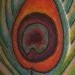 tattoo galleries/ - Peacock feather tattoo