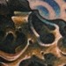 tattoo galleries/ - another skull