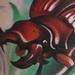 tattoo galleries/ - Beetle