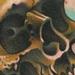 tattoo galleries/ - bones