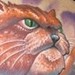 tattoo galleries/ -  - 42074