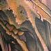 Horse Rot Tattoo Thumbnail