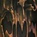 tattoo galleries/ - Icky