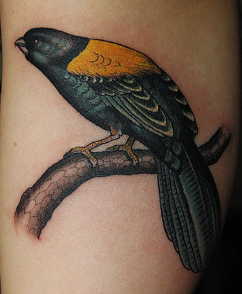 Looking for unique  Tattoos? untitled