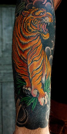 Tattoos - Dana Helmuth - tiger on rocks