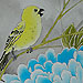 tattoo galleries/ - canary and peony - 24701