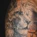 animal lion and aries  Tattoo Thumbnail