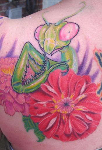 Looking for unique  Tattoos? Praying Mantis