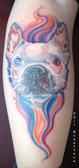 Phil Robertson - Magical Olive the amazing Boston terrier tattoo